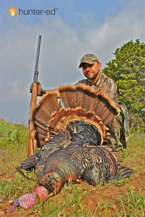 How to Stay Safe While Turkey Hunting | Hunter-ed.com™