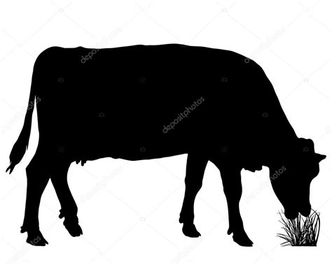 Grazing cow Stock Photo by ©lantapix 37321117