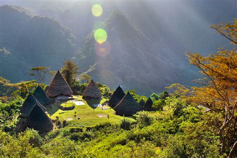 Winning photos show the magic of Indonesia’s forests - PEFC - Programme for the Endorsement of ...