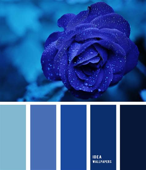 Midnight blue colour palette, color palette , blue rose inspired color palette #pantone #color # ...