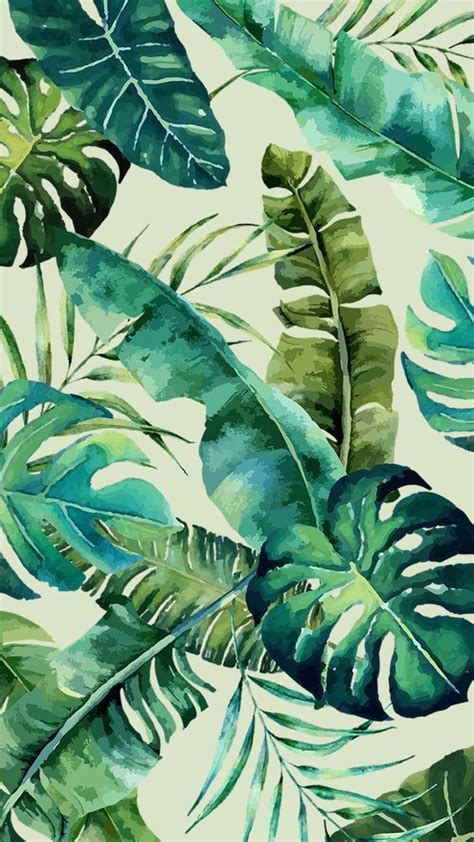 Tropical leaves | Phone wallpaper images, Tropical wallpaper, Green wallpaper