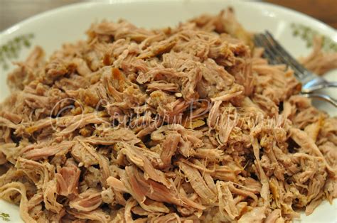 Southern Style Pulled Pork BBQ - salt, pepper, cider vinegar brown ...