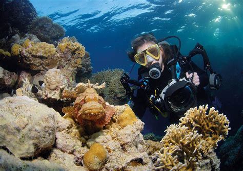 Top 4 Best Red Sea Diving Destinations