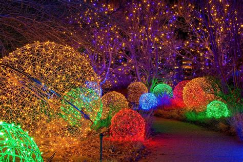 Denver Botanic Gardens Blossoms of Light | 2024-25 Nov-Jan Holiday Event