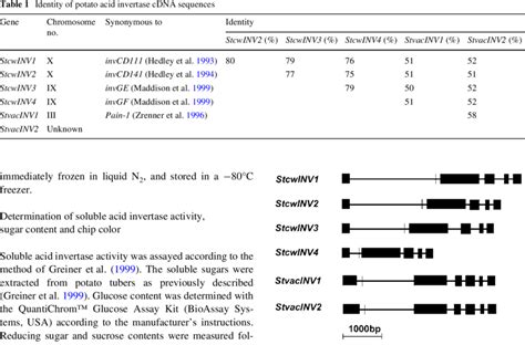 Gene structure of six acid invertase genes in potato. The exons and... | Download Scientific Diagram