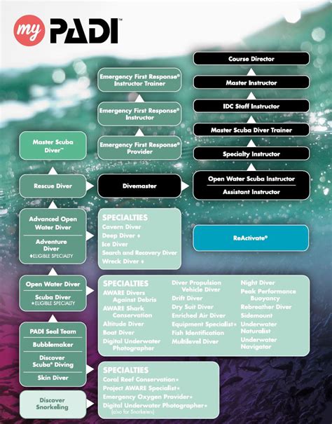 What are the PADI certification levels?