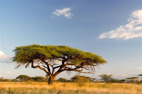 African Landscape Wallpapers Group (75+)