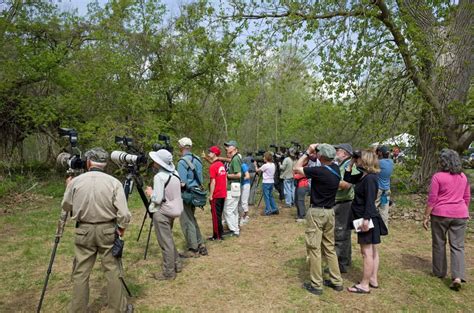 The Ultimate Beginner’s Guide to Birding – Hobby Help