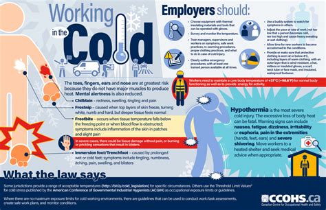 Winter is coming: What to wear for outdoor work | Workplace Safety North