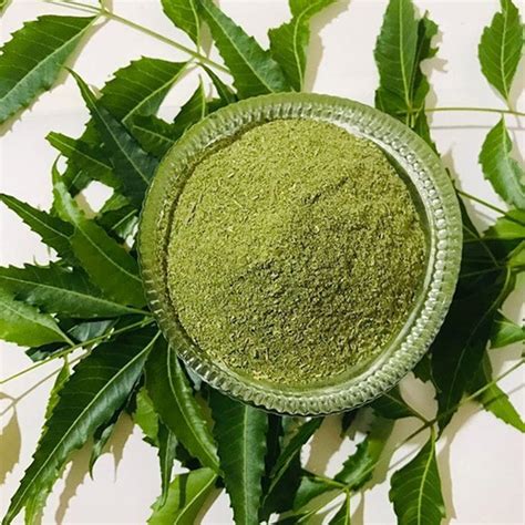 Neem Leaves Powder Ingredients: Herbal Extract at Best Price in Noida | Brielle Ayurveda Pvt Ltd