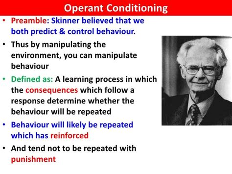 Skinner Box - VCE U4 Psychology