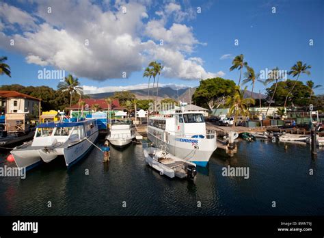 Lahaina Harbor, Maui, Hawaii Stock Photo - Alamy