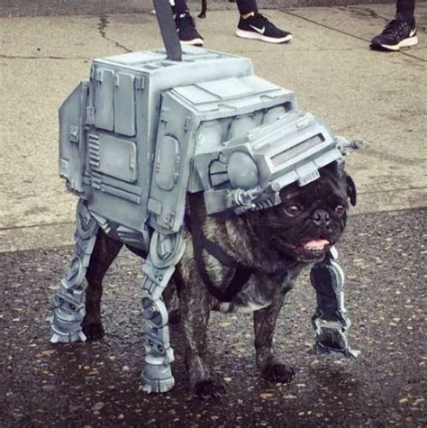 There Was a 'Star Wars' Pug Parade and All the Dogs Dressed Up