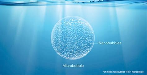 New study reinforces efficacy of nanobubble technology - Hatchery ...