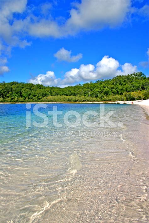 Lake Mckenzie, Fraser Island, Australia Stock Photo | Royalty-Free | FreeImages