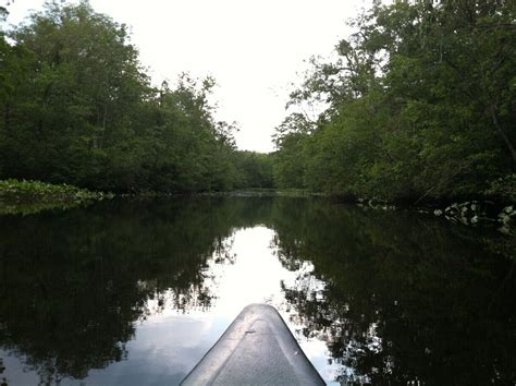 Pocomoke River State Park | Historic Horse Trails - Maryland Equine Heritage Trail Initiative