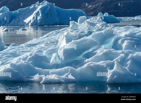 Icebergs floating in the Labrador Sea, Nuuk Fjord, Sermersooq, Greenland Stock Photo - Alamy