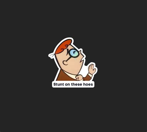 Meme Sticker, Stunt on These Hoes Meme, Funny Water Bottle Sticker, Waterproof Vinyl Sticker ...