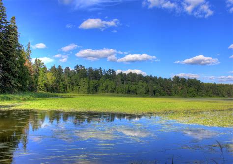 Lake and Shore at lake Itasca state park, Minnesota image - Free stock ...