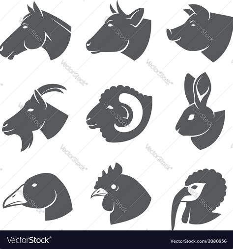 Farm animals Royalty Free Vector Image - VectorStock