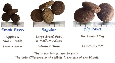 Kibble Size - Medium, Small Paws or Big Paws? – Suffolk Group