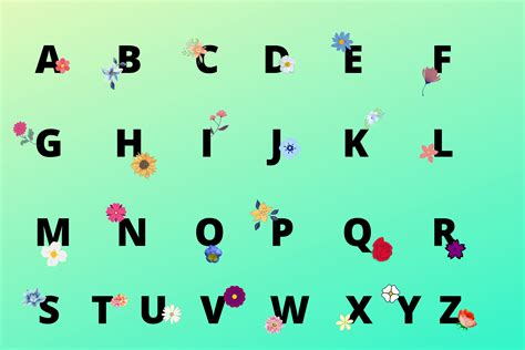 The Alphabet Chart Graphic by DOLPHINLAND · Creative Fabrica