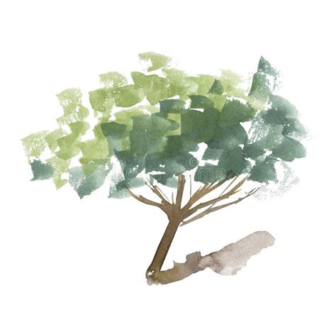 Watercolor Tree Illustration. Stock Illustration - Illustration of isolated, nature: 251320960