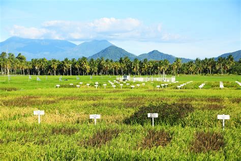 Global Crop Diversity Summit - CGIAR