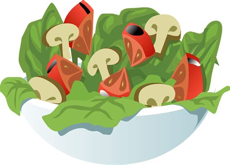 Free vector graphic: Salad, Vegetables, Meal, Healthy - Free Image on Pixabay - 575436