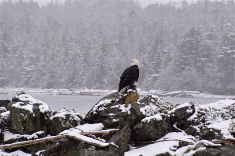 Snow in Ketchikan – Long Distance Cruising