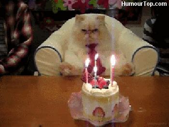 Birthday Cake GIF - Find & Share on GIPHY