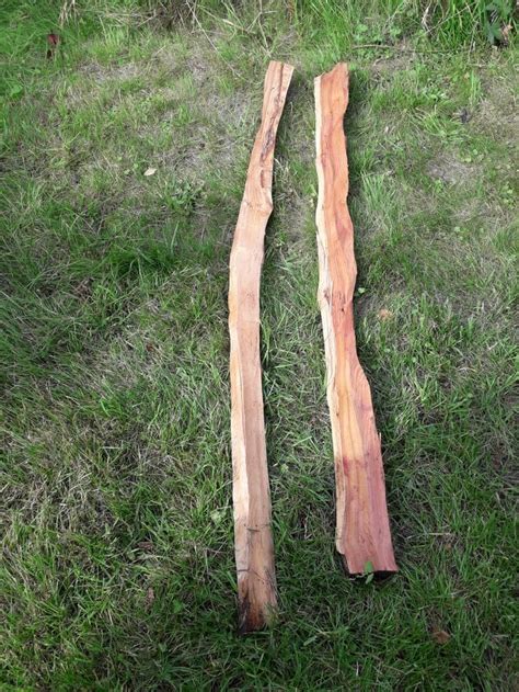 2 Yew bow staves for sale | Bow staff, Bows, Staffing