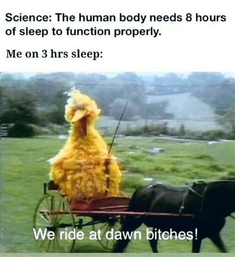 Sleep | We Ride At Dawn Bitches | Know Your Meme