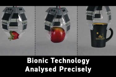 Bionic Technology Analyzed Precisely