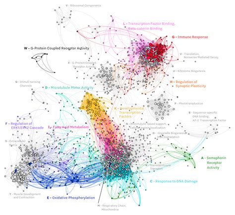 Bioinformatic analysis of zebrafish models of Alzheimer's Disease | Faculty of Sciences ...