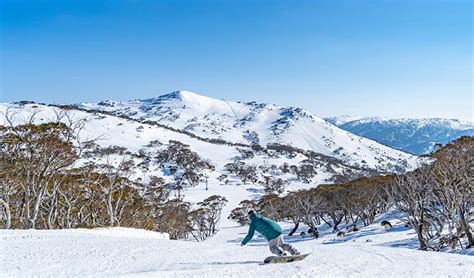 Snowy Mountains | NSW National Parks