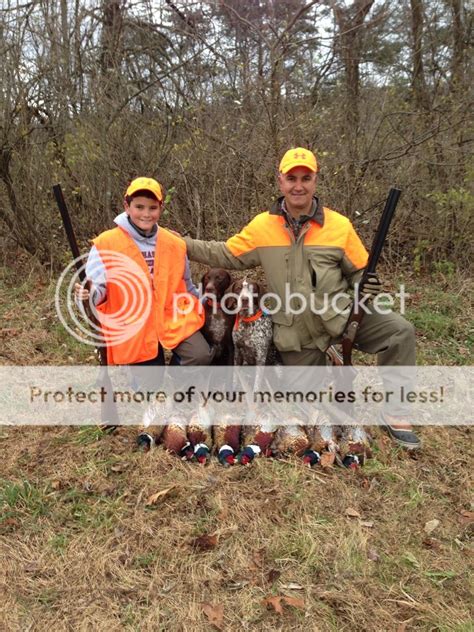 Newbies going on a pheasant hunt this weekend..questions? | Shotgun Forum