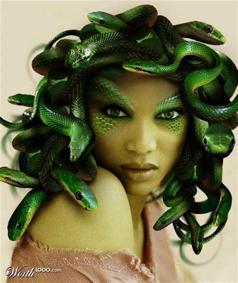 40 best PROJECT: Medusa images on Pinterest