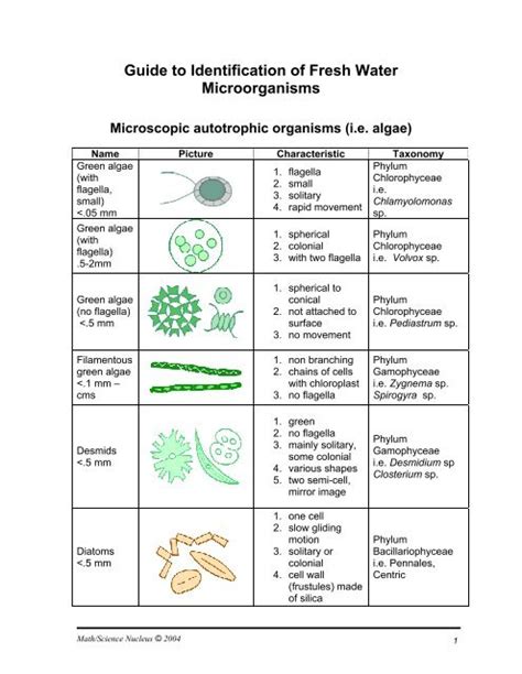 Guide to Identification of Fresh Water Microorganisms