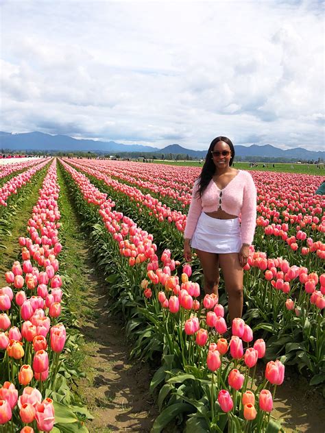 Tulip Festivals In Washington And Exploring Skagit Valley - Sincerely ...