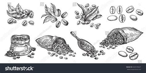 4,919 Coffee bean painting Images, Stock Photos & Vectors | Shutterstock