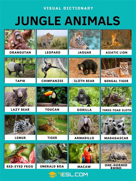 Jungle animals – Artofit