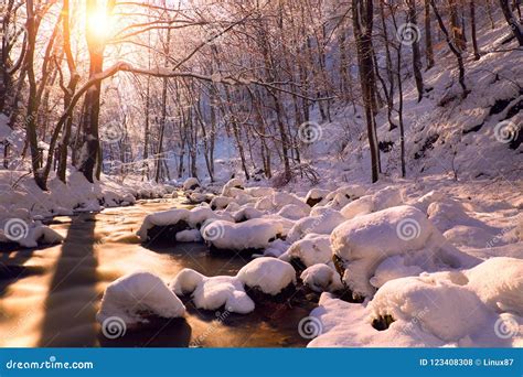 Winter creek stock photo. Image of cold, amazing, hiking - 123408308