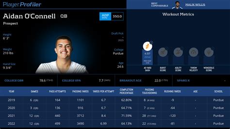 Aidan O'Connell Stats & Fantasy Ranking - PlayerProfiler