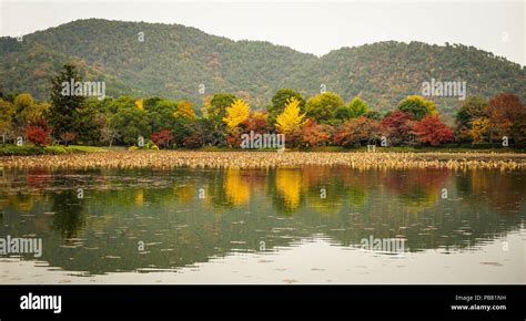 Lake scenery with autumn trees in Kyoto, Japan Stock Photo - Alamy