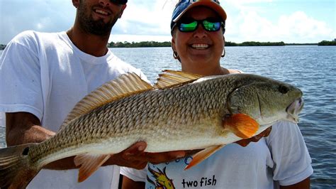 Snook Fishing Season Florida - Fish Choices