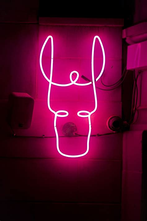 HD wallpaper: pink neon sign, illuminated, communication, glowing, pink color | Wallpaper Flare