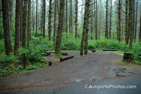 Horseshoe Cove - Campsite Photos, Camping Info & Reservations