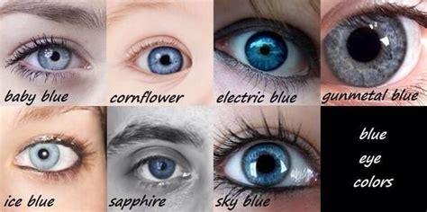 russet brown eyes - Google Search | Blue eye color, Eye color chart, Eye color