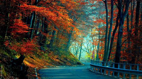 Autumn Path Wallpapers - Wallpaper Cave